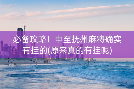 必备攻略！中至抚州麻将确实有挂的(原来真的有挂呢)