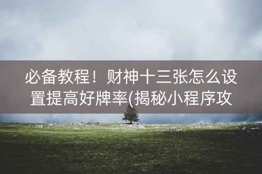 必备教程！财神十三张怎么设置提高好牌率(揭秘小程序攻略插件)