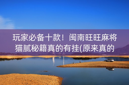 玩家必备十款！闽南旺旺麻将猫腻秘籍真的有挂(原来真的有挂)