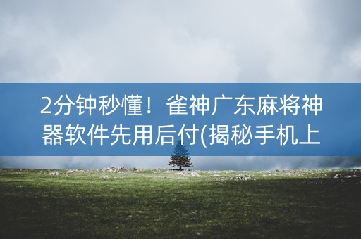 2分钟秒懂！雀神广东麻将神器软件先用后付(揭秘手机上确实有猫腻)