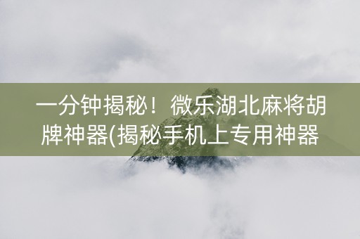 一分钟揭秘！微乐湖北麻将胡牌神器(揭秘手机上专用神器下载)