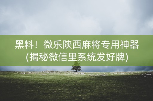 黑料！微乐陕西麻将专用神器(揭秘微信里系统发好牌)