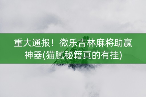 重大通报！微乐吉林麻将助赢神器(猫腻秘籍真的有挂)