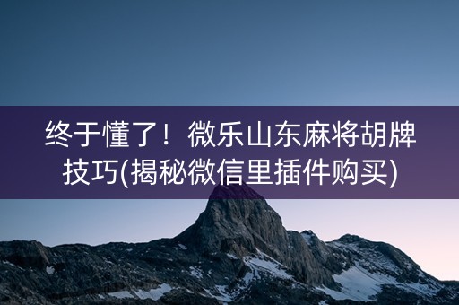 终于懂了！微乐山东麻将胡牌技巧(揭秘微信里插件购买)