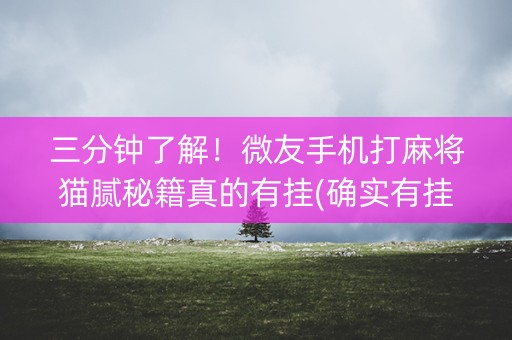 三分钟了解！微友手机打麻将猫腻秘籍真的有挂(确实有挂吗)