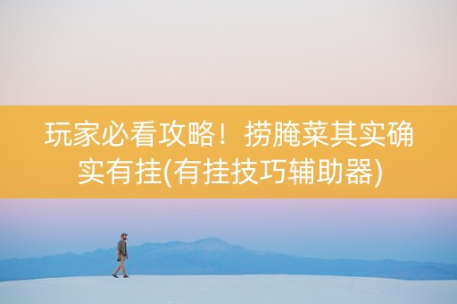 玩家必看攻略！捞腌菜其实确实有挂(有挂技巧辅助器)
