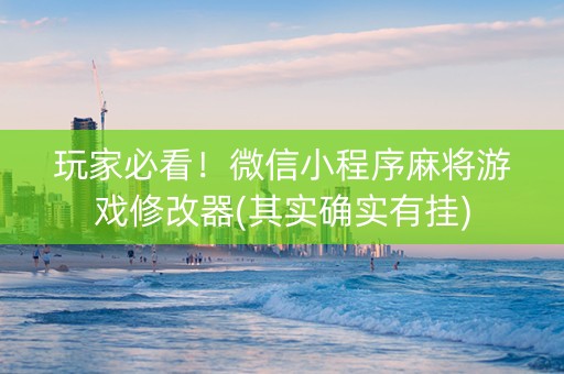 玩家必看！微信小程序麻将游戏修改器(其实确实有挂)