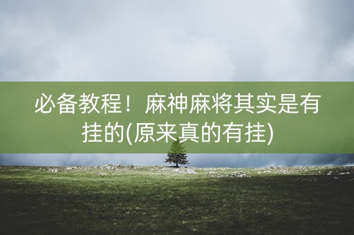 必备教程！麻神麻将其实是有挂的(原来真的有挂)