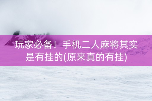玩家必备！手机二人麻将其实是有挂的(原来真的有挂)
