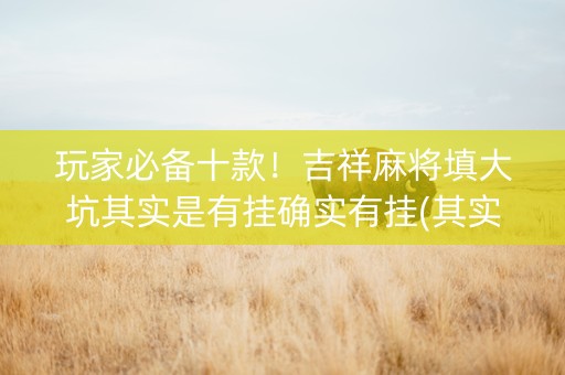 玩家必备十款！吉祥麻将填大坑其实是有挂确实有挂(其实真的确实有挂)