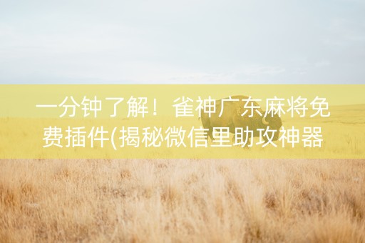 一分钟了解！雀神广东麻将免费插件(揭秘微信里助攻神器)