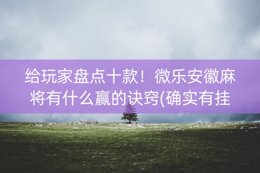 给玩家盘点十款！微乐安徽麻将有什么赢的诀窍(确实有挂吗)
