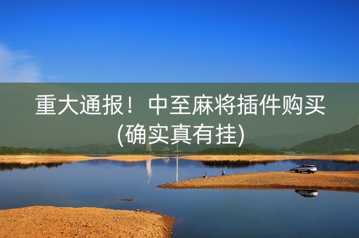 重大通报！中至麻将插件购买(确实真有挂)