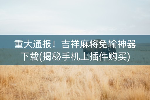 重大通报！吉祥麻将免输神器下载(揭秘手机上插件购买)