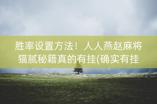 胜率设置方法！人人燕赵麻将猫腻秘籍真的有挂(确实有挂吗)