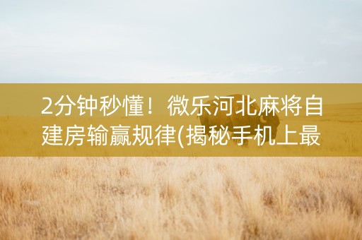 2分钟秒懂！微乐河北麻将自建房输赢规律(揭秘手机上最新神器下载)