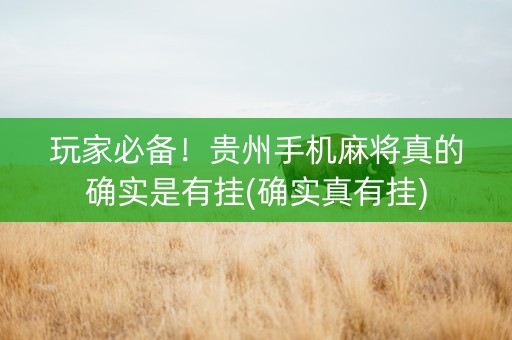 玩家必备！贵州手机麻将真的确实是有挂(确实真有挂)
