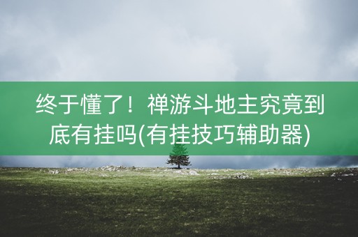 终于懂了！禅游斗地主究竟到底有挂吗(有挂技巧辅助器)