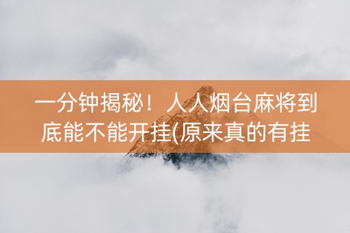 一分钟揭秘！人人烟台麻将到底能不能开挂(原来真的有挂)