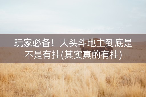 玩家必备！大头斗地主到底是不是有挂(其实真的有挂)