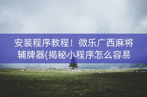 安装程序教程！微乐广西麻将辅牌器(揭秘小程序怎么容易赢)