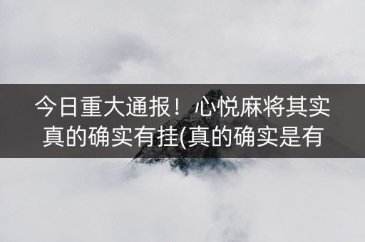 今日重大通报！心悦麻将其实真的确实有挂(真的确实是有挂)