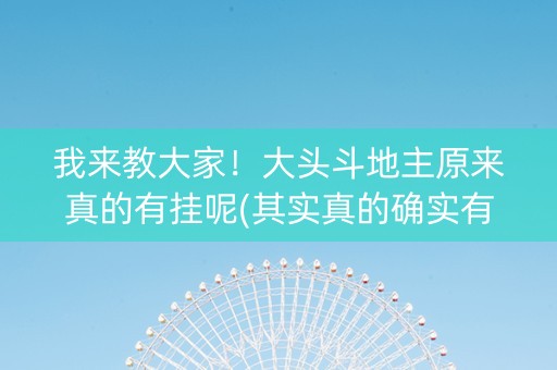 我来教大家！大头斗地主原来真的有挂呢(其实真的确实有挂)