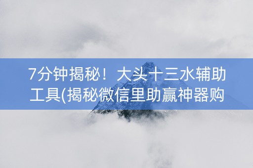 7分钟揭秘！大头十三水辅助工具(揭秘微信里助赢神器购买)