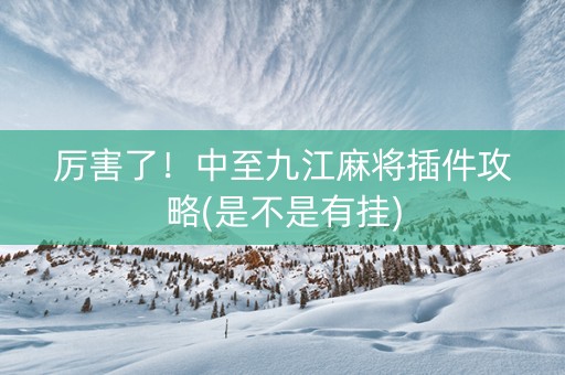 厉害了！中至九江麻将插件攻略(是不是有挂)