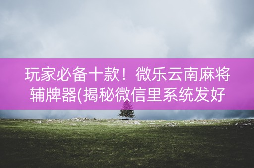 玩家必备十款！微乐云南麻将辅牌器(揭秘微信里系统发好牌)