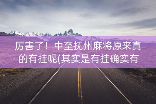 厉害了！中至抚州麻将原来真的有挂呢(其实是有挂确实有挂)