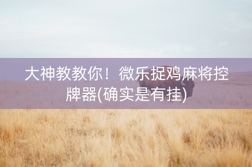 大神教教你！微乐捉鸡麻将控牌器(确实是有挂)