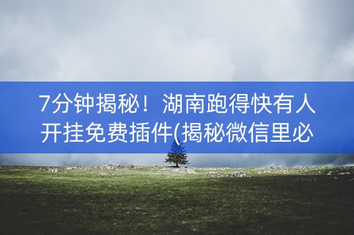 7分钟揭秘！湖南跑得快有人开挂免费插件(揭秘微信里必备神器)