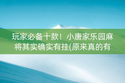 玩家必备十款！小唐家乐园麻将其实确实有挂(原来真的有挂)