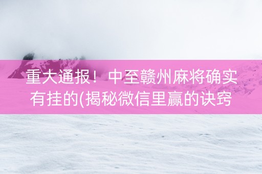 重大通报！中至赣州麻将确实有挂的(揭秘微信里赢的诀窍)