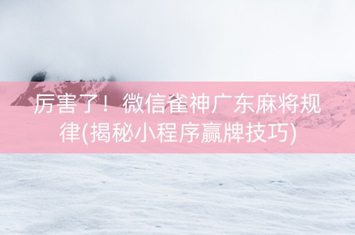 厉害了！微信雀神广东麻将规律(揭秘小程序赢牌技巧)