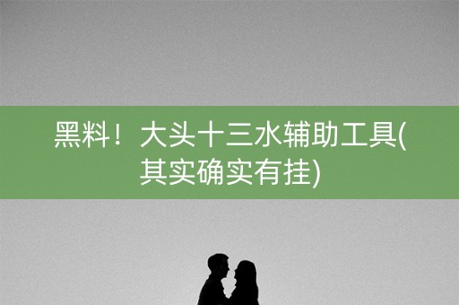 黑料！大头十三水辅助工具(其实确实有挂)