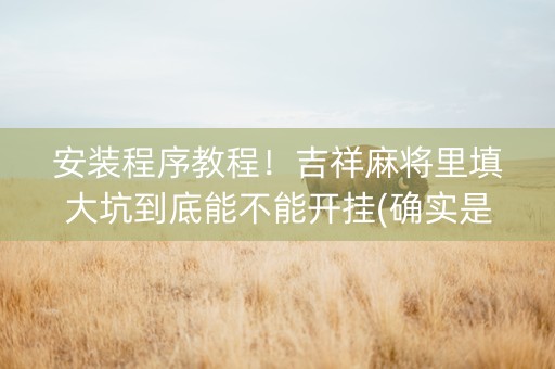 安装程序教程！吉祥麻将里填大坑到底能不能开挂(确实是有挂)
