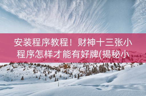 安装程序教程！财神十三张小程序怎样才能有好牌(揭秘小程序插件免费)