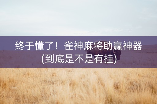 终于懂了！雀神麻将助赢神器(到底是不是有挂)
