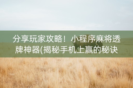 分享玩家攻略！小程序麻将透牌神器(揭秘手机上赢的秘诀)