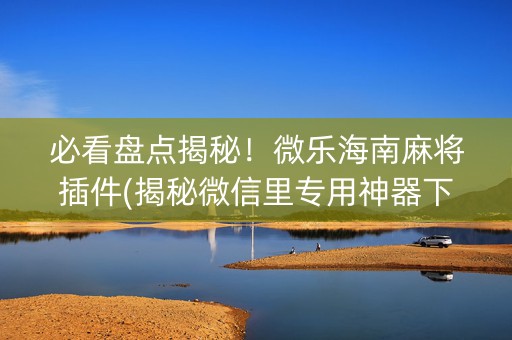 必看盘点揭秘！微乐海南麻将插件(揭秘微信里专用神器下载)