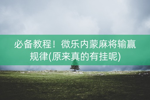 必备教程！微乐内蒙麻将输赢规律(原来真的有挂呢)