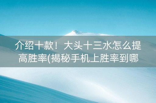 介绍十款！大头十三水怎么提高胜率(揭秘手机上胜率到哪调)