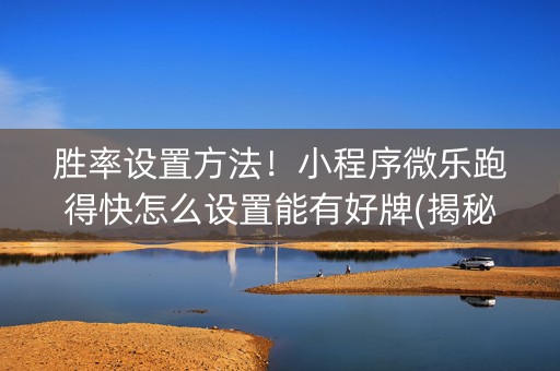 胜率设置方法！小程序微乐跑得快怎么设置能有好牌(揭秘手机上辅牌器)