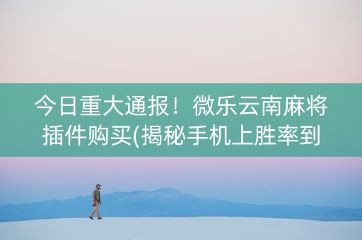 今日重大通报！微乐云南麻将插件购买(揭秘手机上胜率到哪调)
