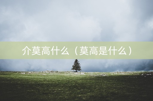 介莫高什么（莫高是什么）