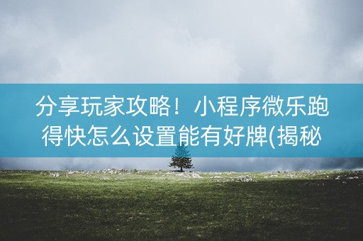 分享玩家攻略！小程序微乐跑得快怎么设置能有好牌(揭秘手机上助赢软件)