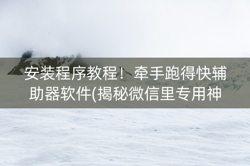 安装程序教程！牵手跑得快辅助器软件(揭秘微信里专用神器)
