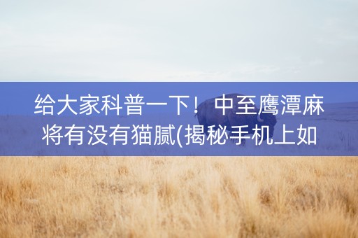 给大家科普一下！中至鹰潭麻将有没有猫腻(揭秘手机上如何让牌变好)